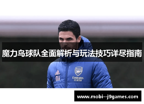 魔力鸟球队全面解析与玩法技巧详尽指南