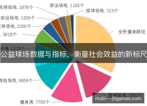 公益球场数据与指标,衡量社会效益的新标尺 公益球场数据与指标,衡量社会效益的新标尺